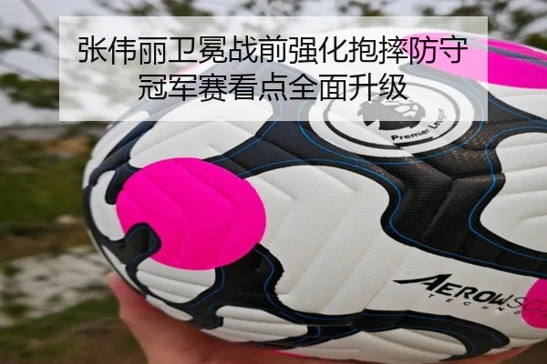 张伟丽卫冕战前强化抱摔防守 冠军赛看点全面升级